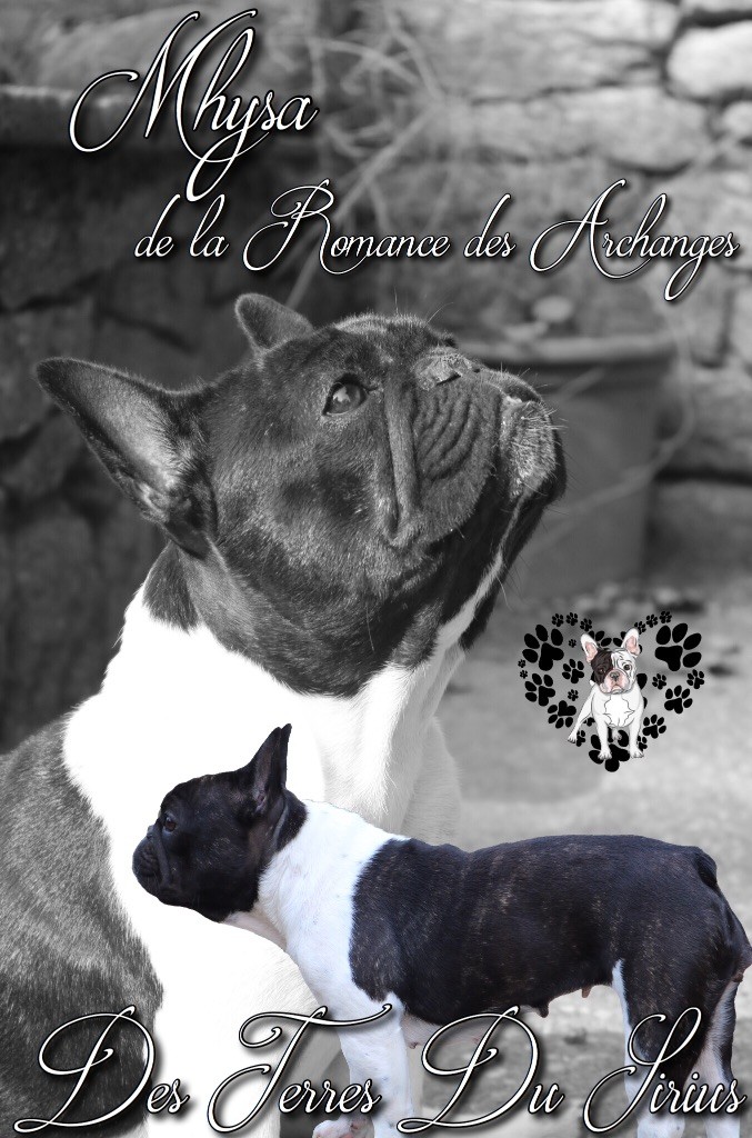 La mhysa De La Romance Des Archanges
