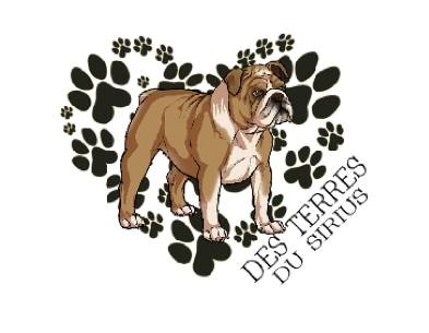 des Terres du Sirius